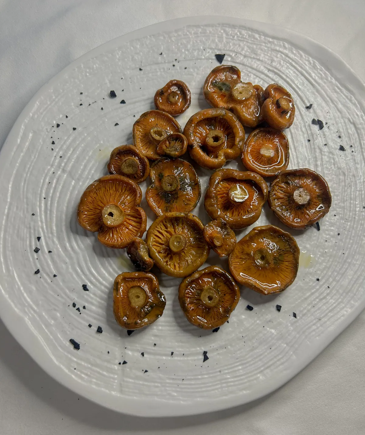 Sautéed seasonal saffron milk cap mushrooms, market cooking at La Estrella 1924